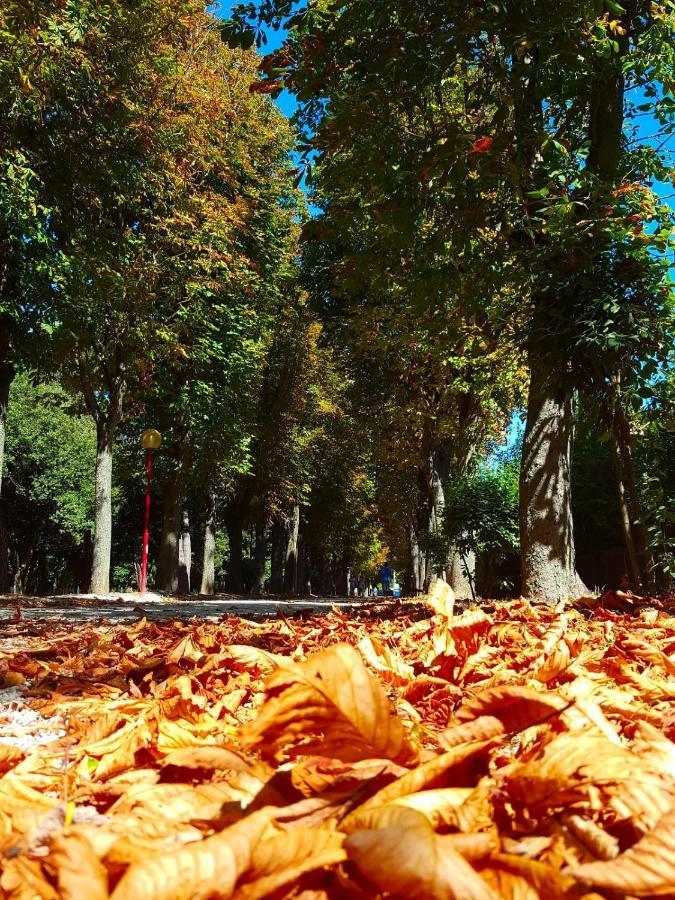 Il Gabbiano Giallo Fano Exterior foto
